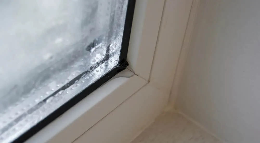 Infiltration d’eau autour d’une fenêtre mal posée